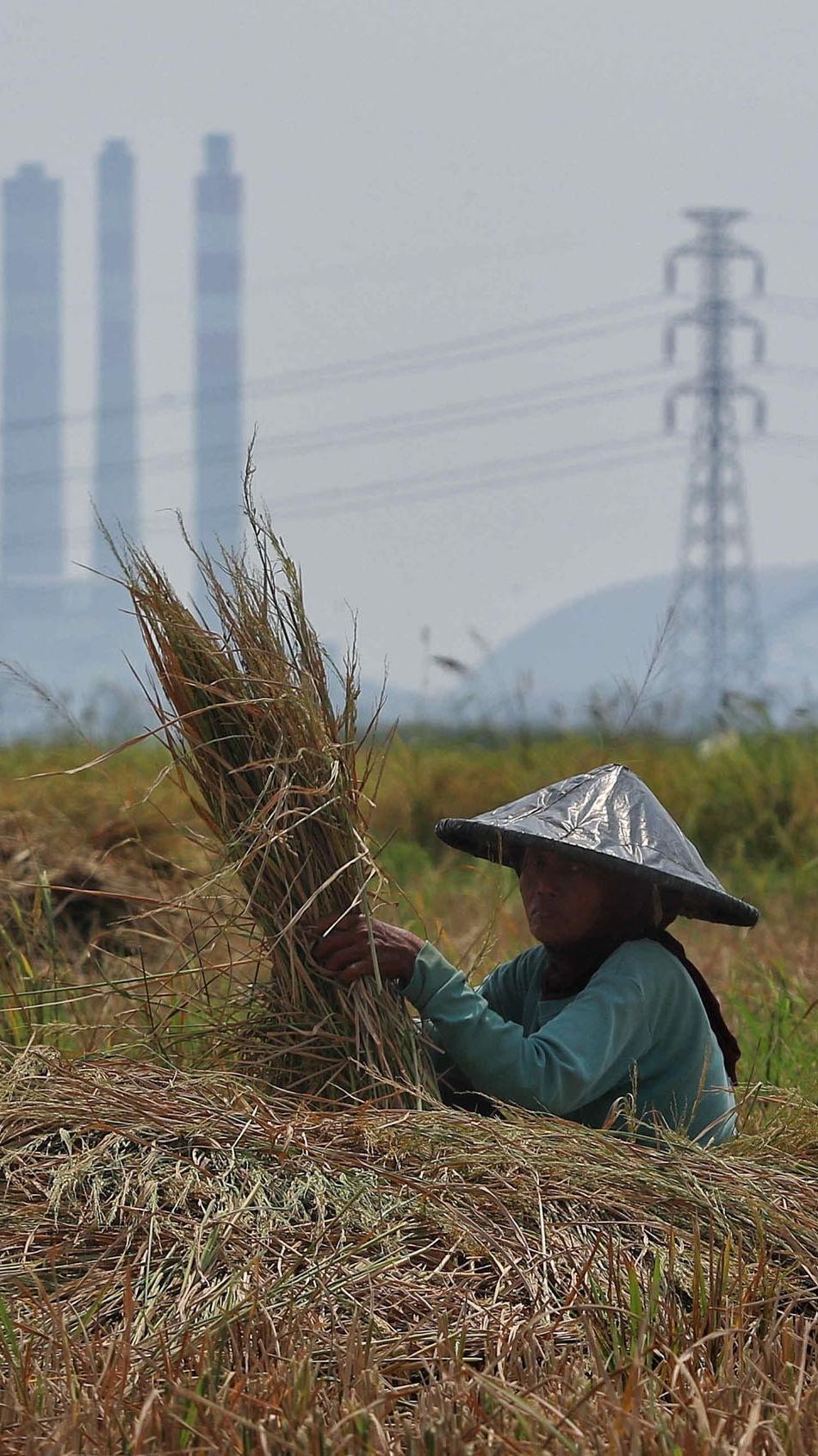 Terserang El Nino dan Anomali Mahalnya Harga Beras