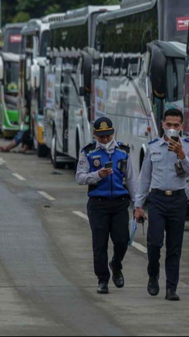 Mudik Gratis BUMN Sediakan 1.225 Bus, Ini Cara Daftar dan Rutenya