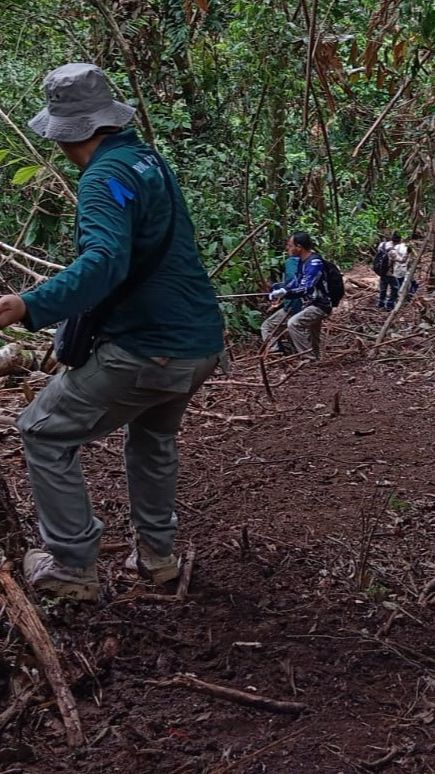 Menyusuri Medan Terjal demi Menyingkap 4 Hektare Ladang Ganja di Rimba Lamteuba Aceh Besar