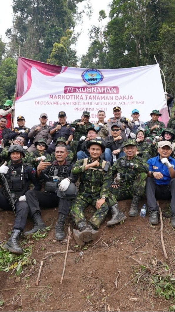 BNN Musnahkan 4 Hektare Ladang Ganja di Aceh