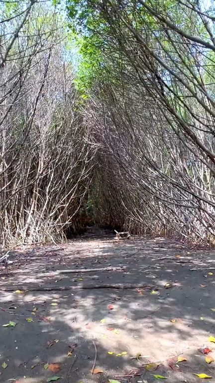 Belum Banyak Didatangi, Yuk Intip Eksotisnya Pulau Burung di Subang yang Jadi Hidden Gems