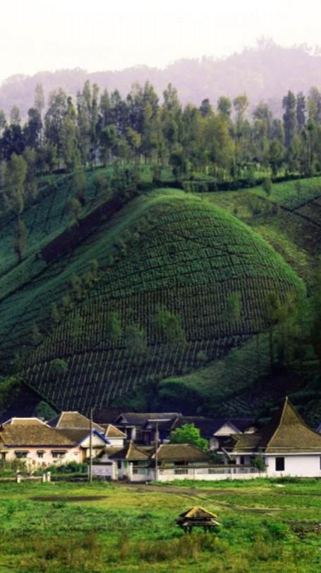 Mengunjungi Desa Ranu Pani, Gerbang Pendakian Menuju Puncak Gunung Semeru