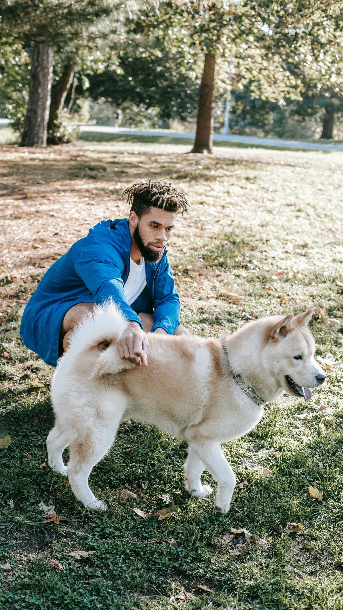 How To Train Your Dog To Poop In One Spot The Ultimate Guide to Try trstdly trusted news in