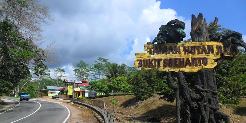 Menilik Taman Hutan Raya Bukit Soeharto, Kisah Perjalanan Darat Presiden Kedua RI Balikpapan-Samarinda