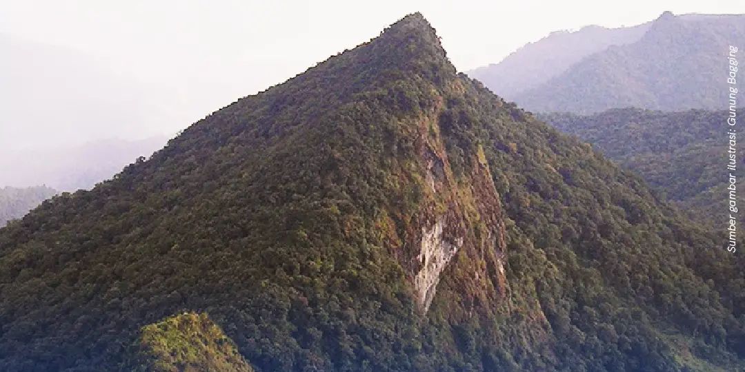 Serunya Mendaki Gunung Halau-Halau Kalsel, Jalurnya Menantang tapi Bikin Puas saat Tiba di Puncak