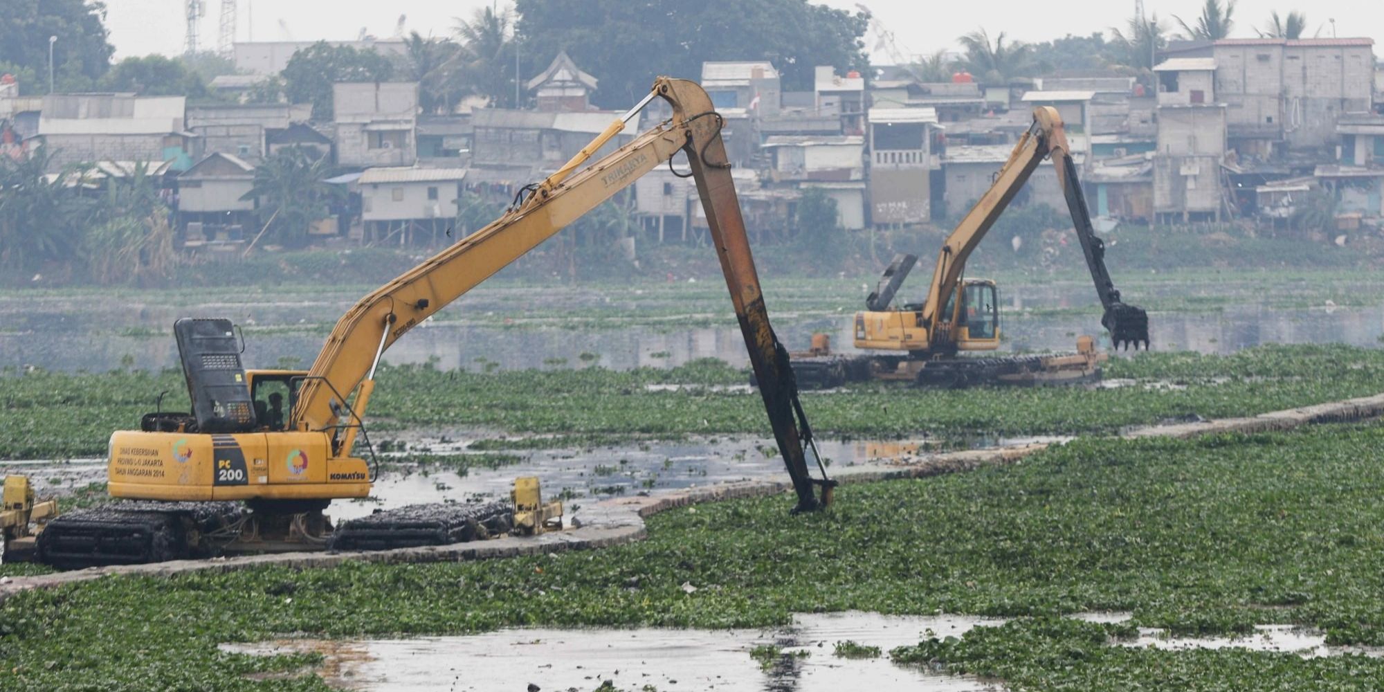 Perajin Ini Bisa Sulap Eceng Gondok Jadi Tas Hingga Tikar, BRI Life Siapkan Rumah Pemasaran