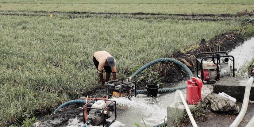 Manfaat Pompanisasi Dirasakan Langsung Petani Kabupaten Lamongan