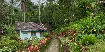 Intip Keindahan Kampung Lamping Garut yang Syahdu Selepas Hujan, Pemandangan Taman di Halaman Rumah Bikin Betah