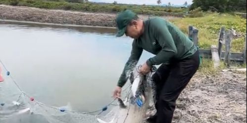 Momen Pensiunan Jenderal TNI Bintang 2 Jaring Ikan di Empang, Hasilnya Langsung Dimakan Bareng Warga