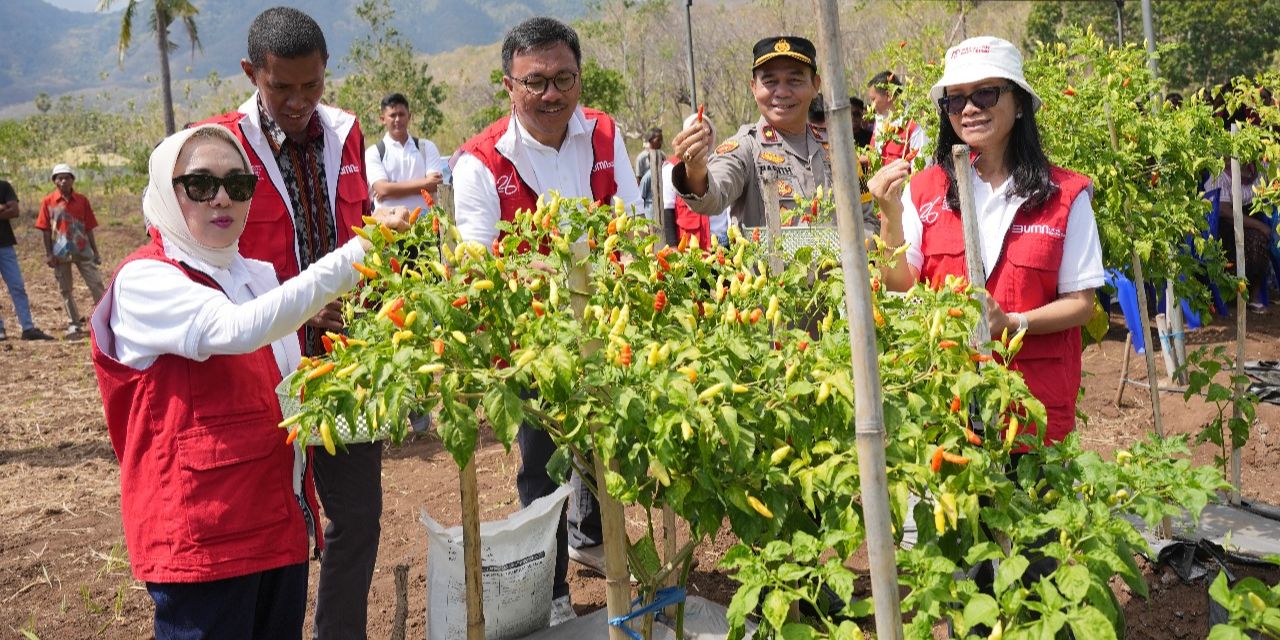 Dukung Ketahanan Pangan, Nelayan Ini 'Sulap' Pekarangan Jadi Lahan Bercocok Bertanam