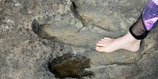 Jalan-Jalan di Pantai Bareng Ibunya, Bocah Ini Temukan Lima Tapak Kaki Dinosaurus Berusia 200 Juta Tahun