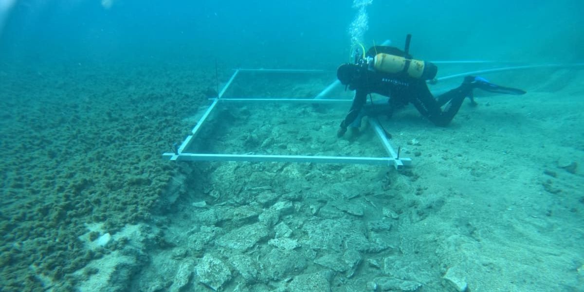 Arkeolog Tercengang, Penyelam Temukan Jalan di Bawah Laut Mengarah ke Kota Kuno Berusia 7.000 Tahun