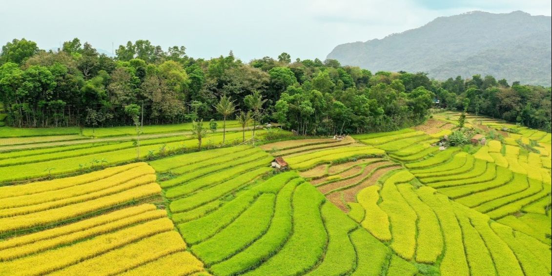 Mengenal Kuang, Kearifan Lokal Masyarakat Toraja dalam Menjaga dan Mengelola Air