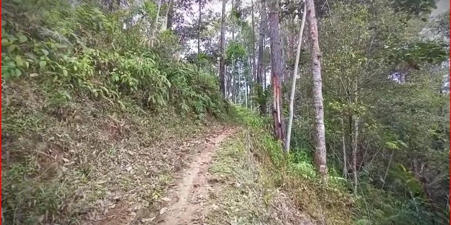 Melihat Keseharian Para Lansia di Kampung Terpencil Tengah Hutan Banyumas, Hidup Serba Sulit