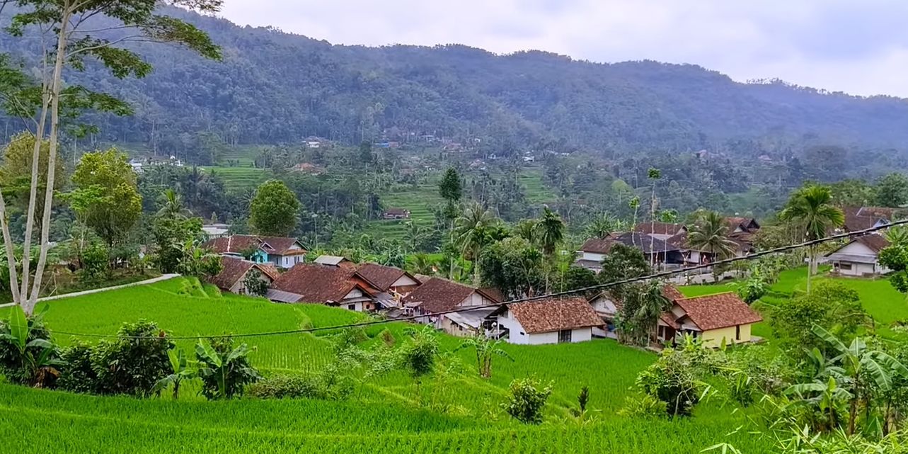 Kampung di Tasikmalaya Ini Bikin Betah, Posisinya di Tengah Sawah yang Dikelilingi Bukit Terasering Hijau