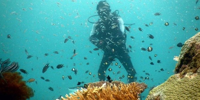 Cerita Warga Taman Laut Pandanan, Ekonomi Kembali Menggeliat Usai Rehabilitasi Terumbu Karang yang Rusak Parah