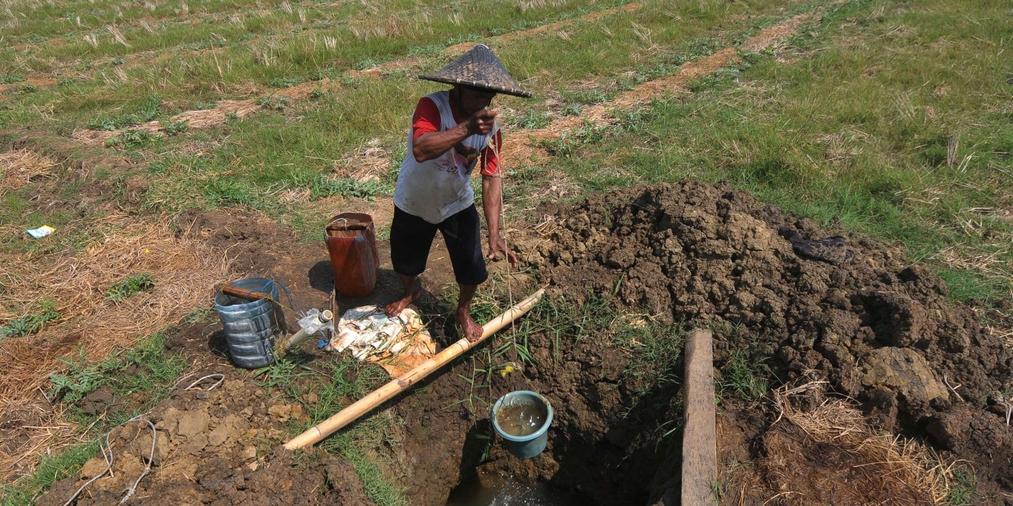 Menteri Ida Minta Pemda Alokasikan Dana untuk BPJamsostek Petani, Marbot Masjid hingga PKL