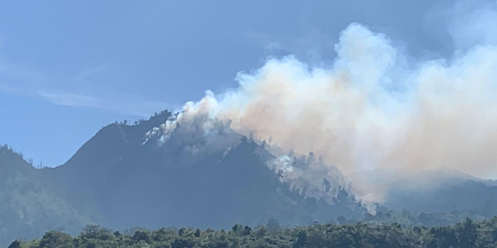 Kronologi Terbakarnya Pegunungan Ebeng-Ebeng di Taman Nasional Bromo Tengger Semeru, Petugas Kesulitan Padamkan Api