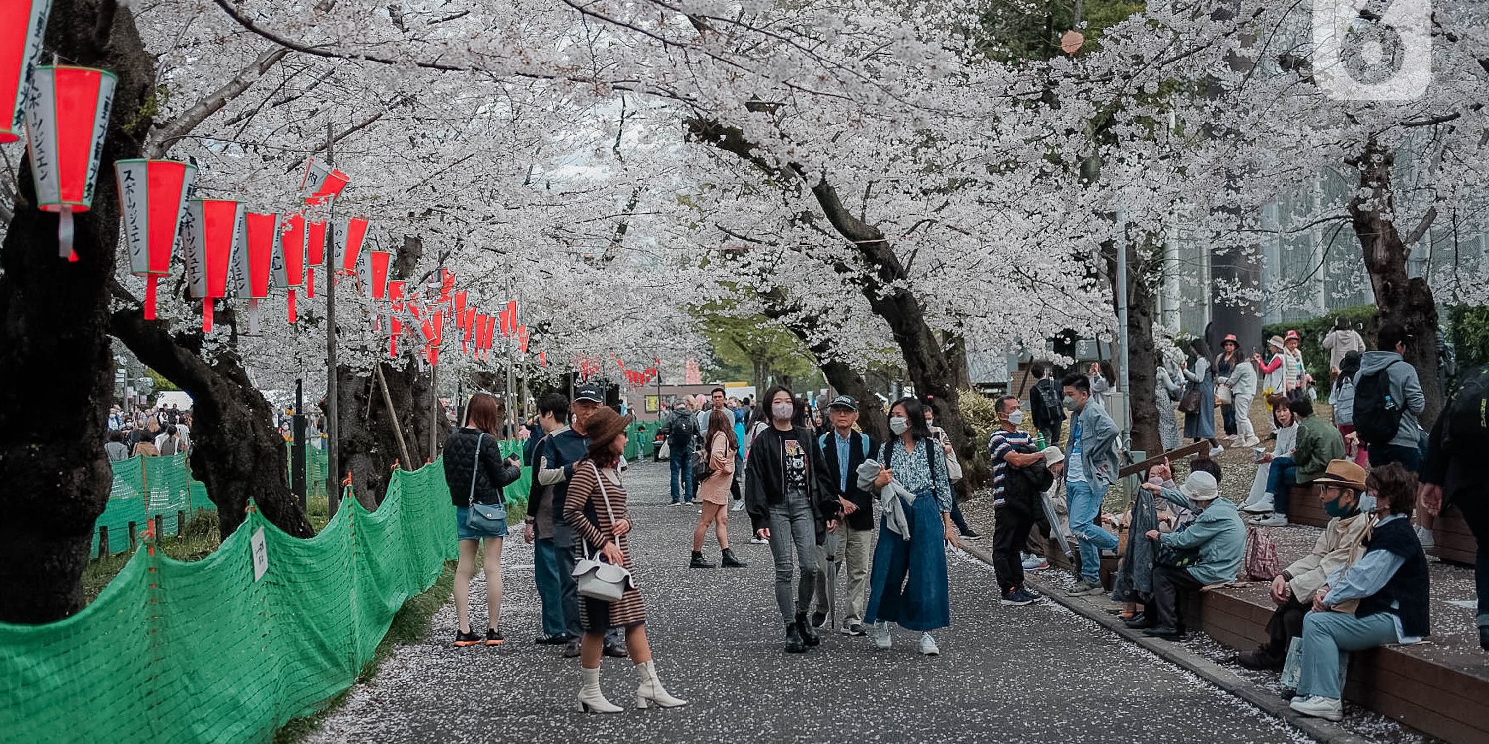 Kabar Gembira, Maskapai Ini Beri Tiket Gratis Keliling Jepang Bagi Wisatawan Indonesia, Catat Syaratnya