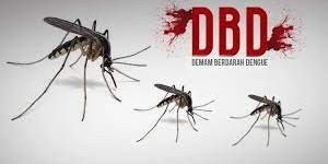 Tekan Kasus DBD, Dinkes DKI Bakal Sebar Telur Nyamuk Ber-Wolbachia di Jakbar