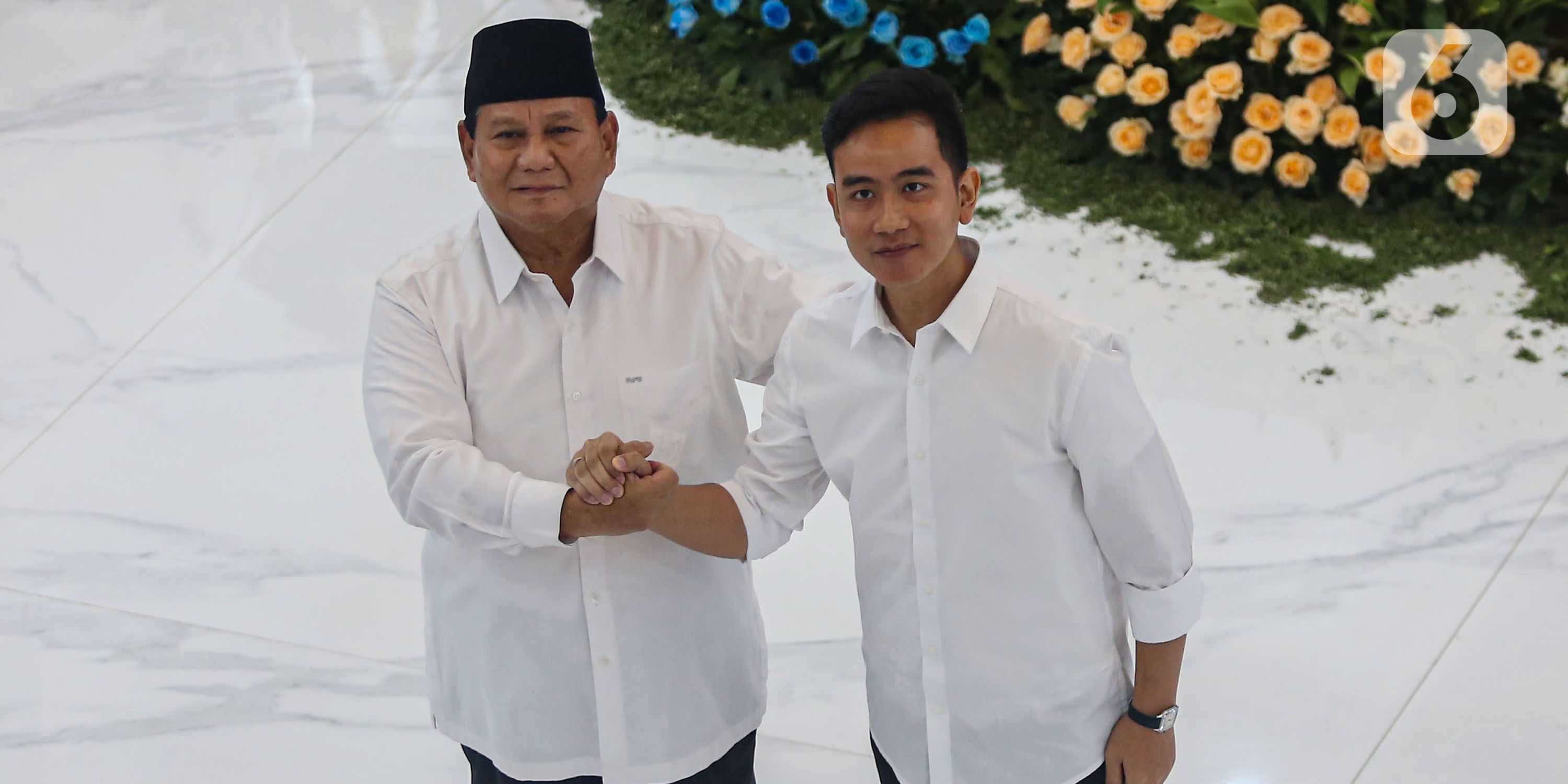 Hore! Prabowo Siapkan Layanan Pemeriksaan Kesehatan Gratis di 2025, Berapa Anggarannya?