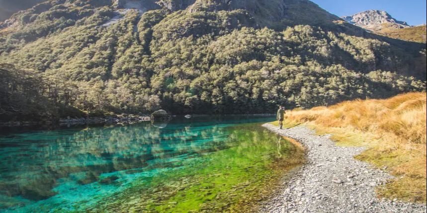 Danau di Selandia Baru Ini Jernih Banget Bak Kaca Transparan, Peneliti Ungkap Faktor Penyebabnya yang Tak Terduga