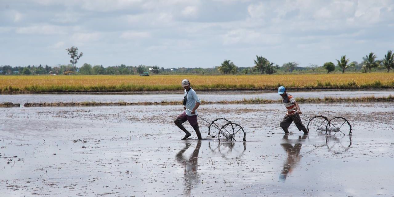 Kementan Rampungkan Opla Rawa 40 Ribu Ha di Merauke