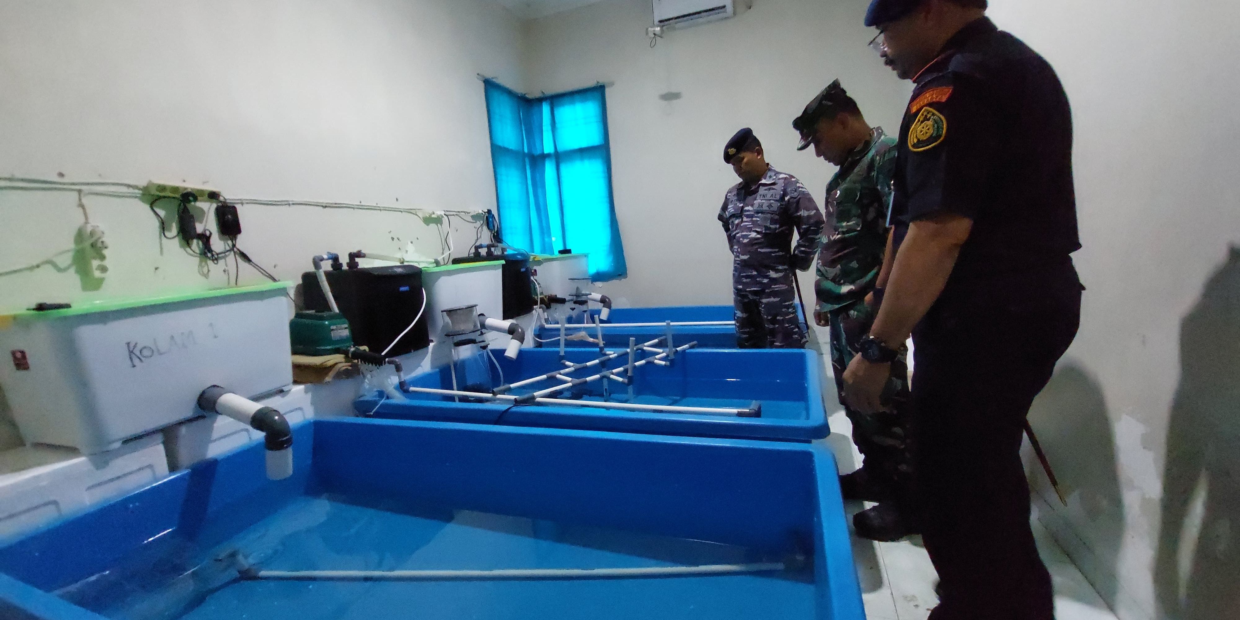 KKP Gagalkan Penyelundupan 2 Juta Benih Lobster, Nilainya Tembus Rp278 Miliar