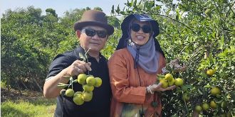 Wajah Ceria Eks Kasad Bareng Istri Tercinta Panen Jeruk, Makin Semangat Berkebun Bawa Kebahagian