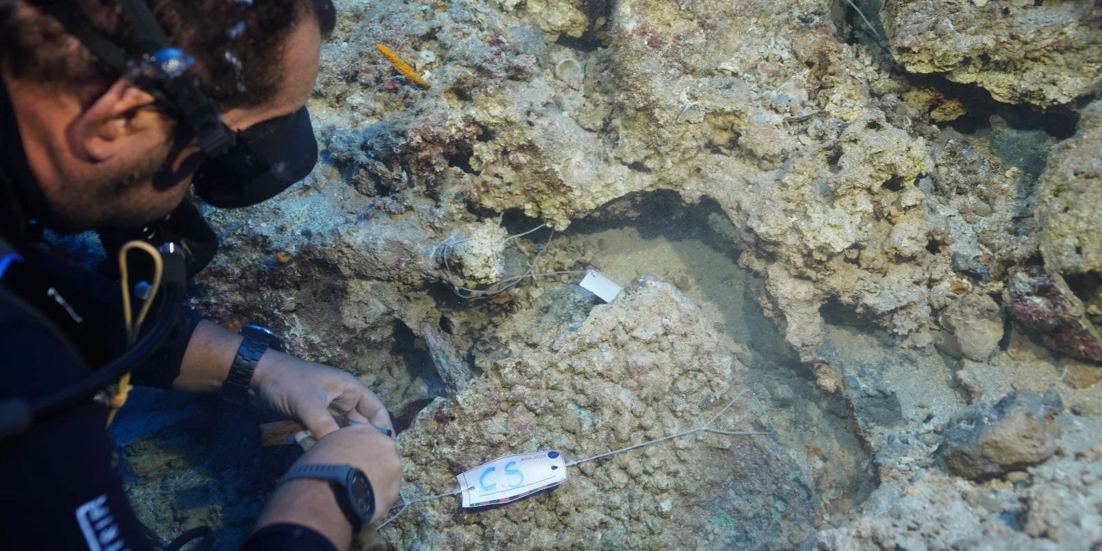 Menyelam Sampai 50 Meter, Arkeolog Temukan Belati Berlapis Perak Berusia 3.600 Tahun di Dalam Bangkai Kapal