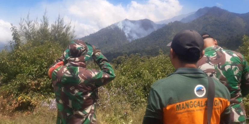 Kebakaran Hutan TNBTS Meluas, Titik Api Bertambah