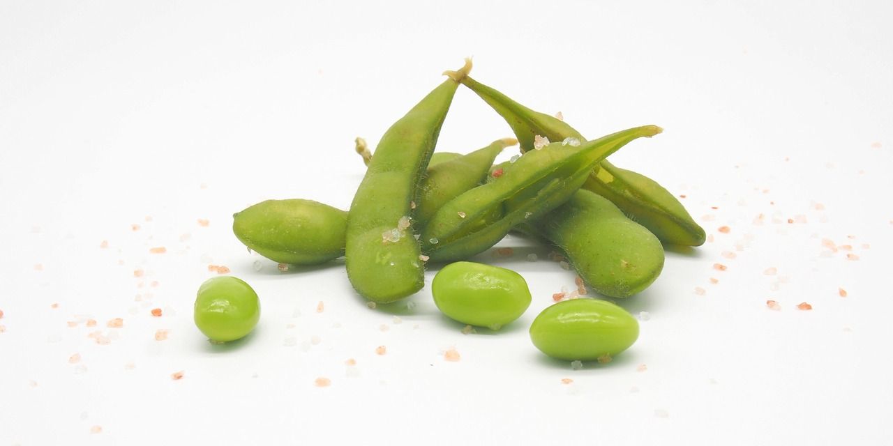 8 Manfaat Edamame untuk Anak, Baik untuk Pertumbuhan Sel