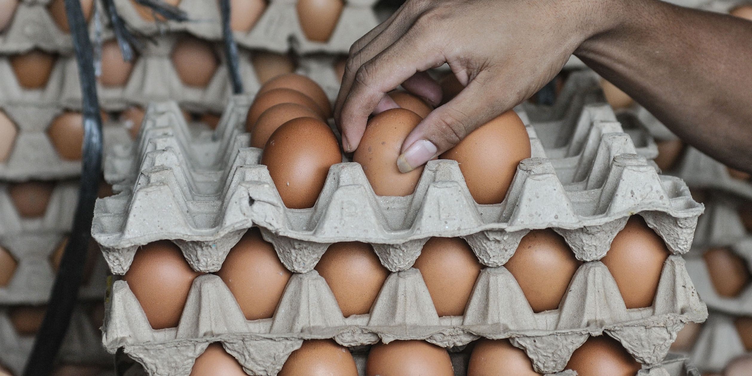 Telur Ayam Makin Langka di Australia, Pembelian Dibatasi