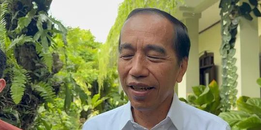 Dituding Bikin PDIP Kacau, Jokowi: Jangan Semua Hal Dikaitkan dengan Saya