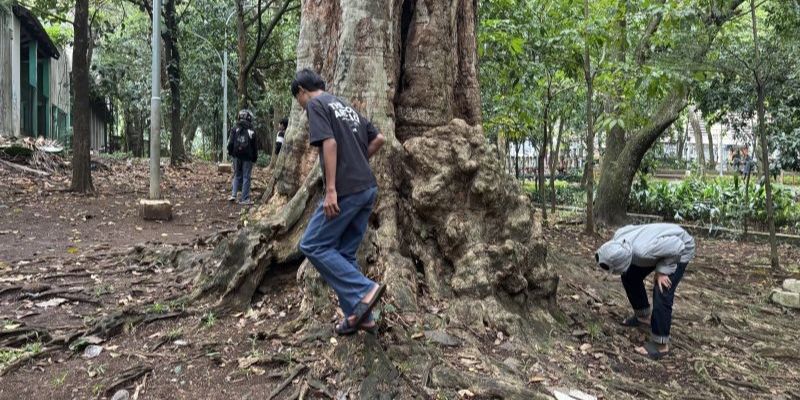 Viral Berburu Koin Jagat, Menteri PPPA Ingatkan Masyarakat Tak Gampang Percaya