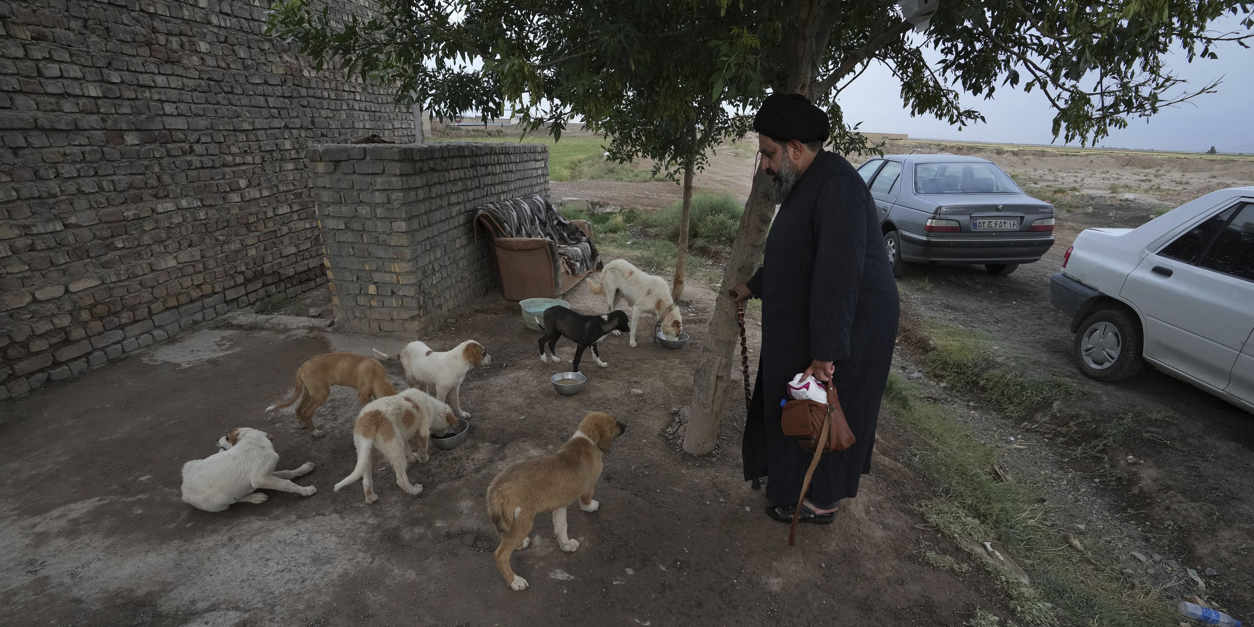 Tata Cara Membersihkan Najis Anjing dalam Islam, Panduan Syariat yang Tepat