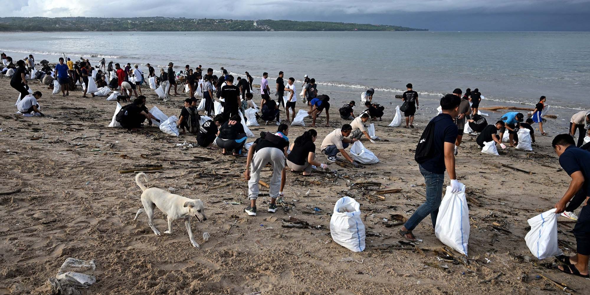 FOTO: Aksi Bersama Membersihkan Sampah di Pantai Kedonganan Bali