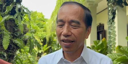 Reaksi Jokowi Lihat Sikap Effendi Simbolon Desak Megawati Mundur dari Ketum PDIP