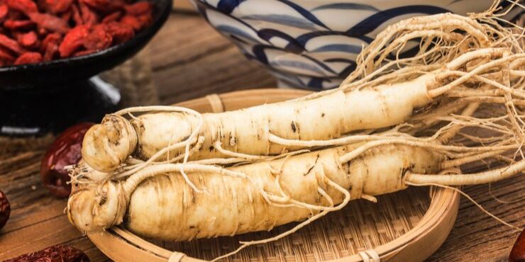 Mengungkap Khasiat Akar Ginseng, Herbal Alami untuk Daya Tahan Tubuh