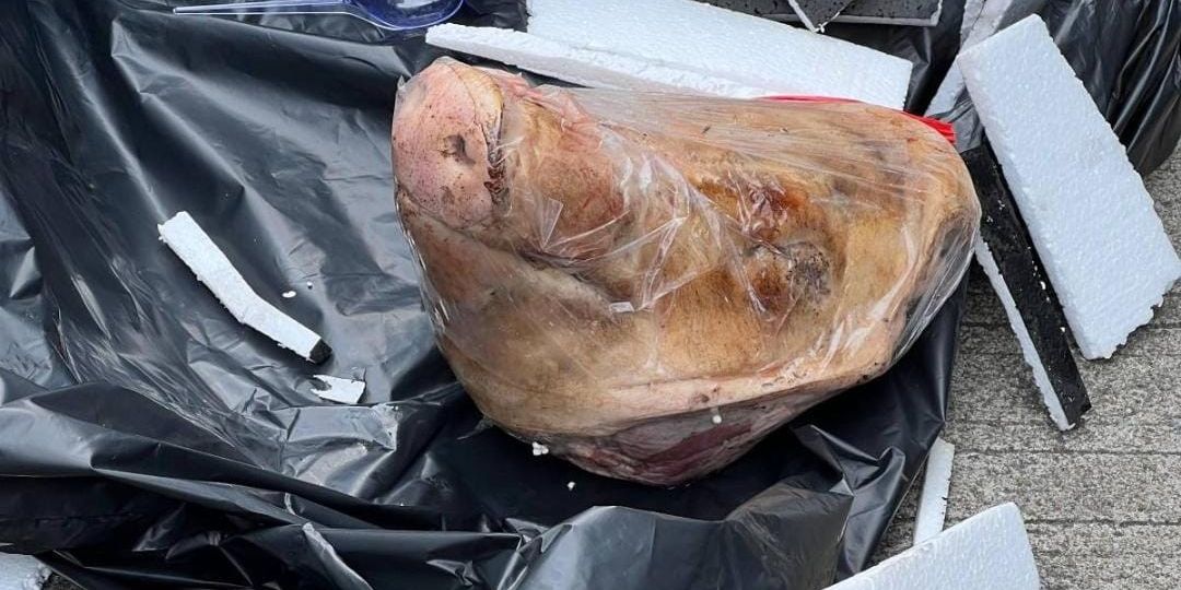 Kronologi Lengkap Teror Paket Kepala Babi Terhadap Wartawan Tempo