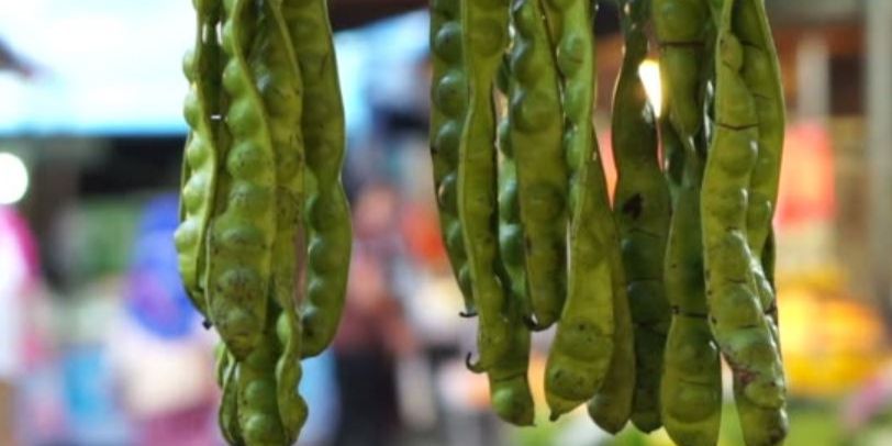 Apakah Petai Bisa Menyebabkan Asam Urat? Ketahui Fakta dan Cara Konsumsinya yang Tepat