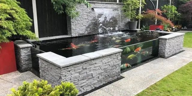 41 Model Kolam Ikan Minimalis di Lahan Sempit yang Menakjubkan