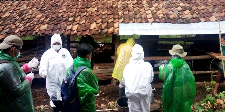 3 Warga Gunungkidul Positif Antraks