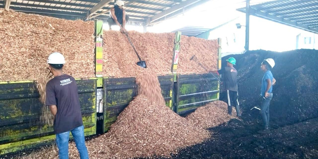 Demi Ketahanan Energi RI, PLN EPI Gandeng Pemprov Kembangkan Ekosistem Biomassa