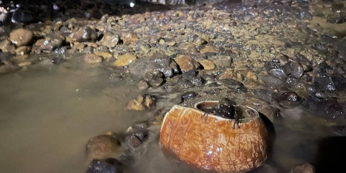 Temukan Ruangan Rahasia di Dalam Gua, Arkeolog Kaget Setelah Lihat Isinya