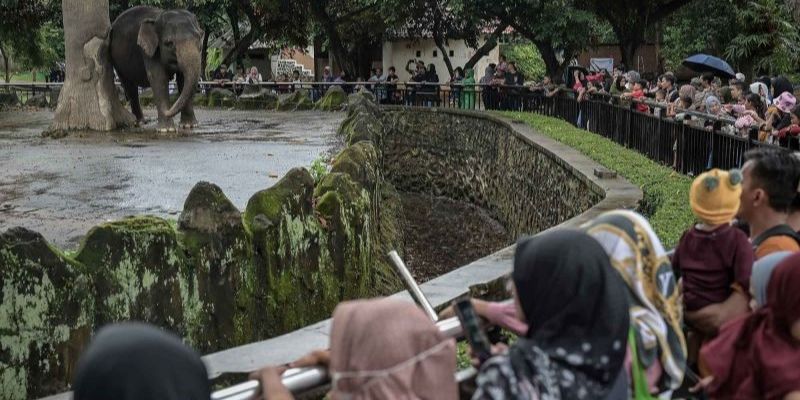 Libur Panjang Paskah, Ragunan Dipadati 19.435 Pengunjung