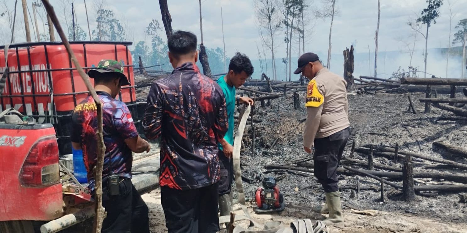 Kobaran Api Besar di Kawasan Habitat Gajah dan Harimau di Riau, Terbakar atau Dibakar?