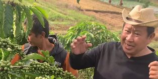 Kini jadi Petani, Momen Pensiunan Jenderal Polisi Turun ke Kebun Kopi Penampilannya Tetap Kece