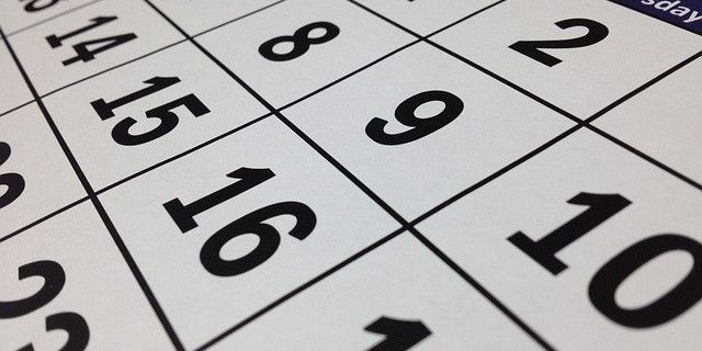 Cek Kalender! Libur Nasional dan Cuti Bersama di Bulan Juni 2025