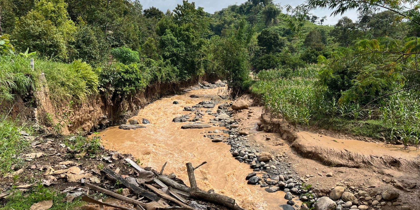 Banjir Bandang Terjang Mojo Kediri, Seorang Lansia dan 11 Kambing Hanyut Terseret Arus Sungai